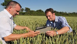 RL interactive: Find the best varieties for your business